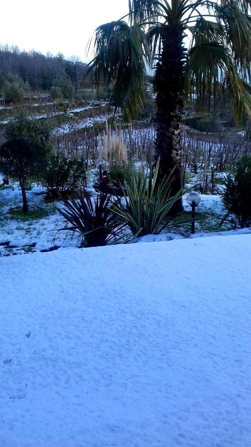 Villa Etna Masi' Milo Kültér fotó